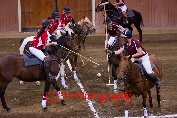 11-3-12_CGAPolo_002