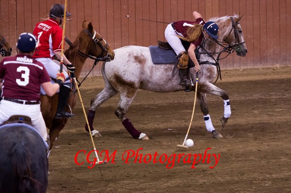 11-3-12_CGAPolo_003