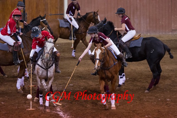 11-3-12_CGAPolo_010